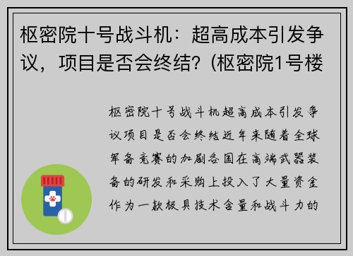 枢密院十号战斗机：超高成本引发争议，项目是否会终结？(枢密院1号楼)