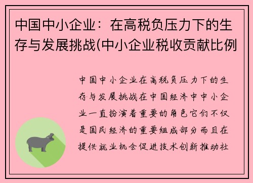 中国中小企业：在高税负压力下的生存与发展挑战(中小企业税收贡献比例)